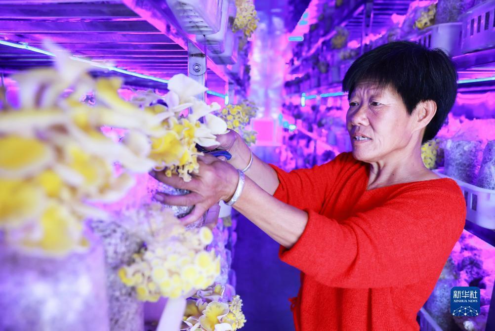 梭哈游戏下载